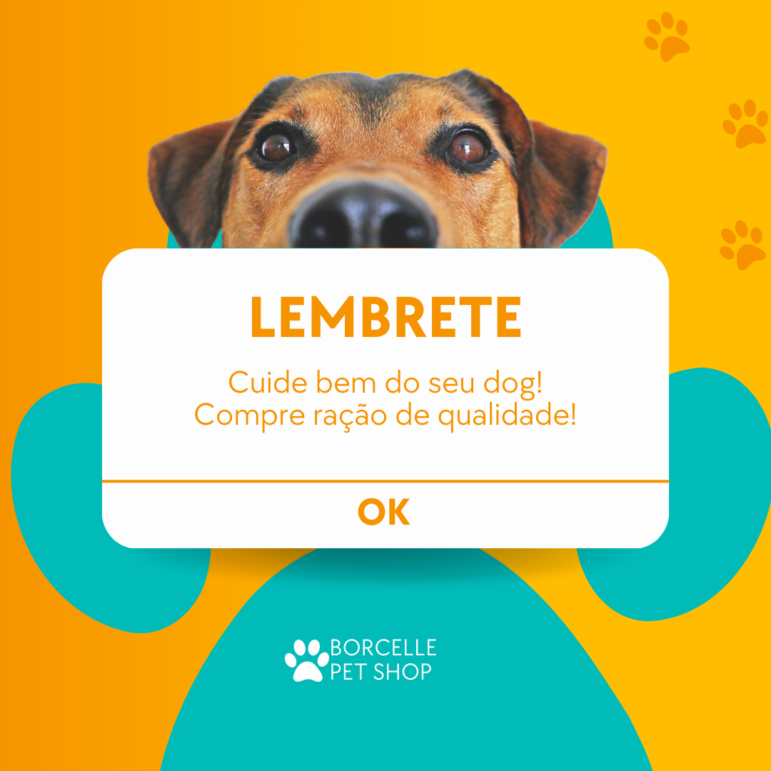 Instagram-Post-Lembrete-Pet-Shop-Amarelo-e-Verde-1.png