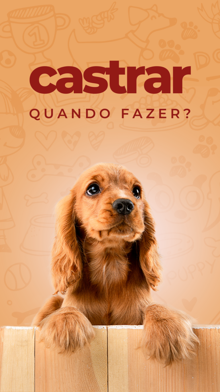 Instagram-Story-Pet-Petisco-Cachorro-2.png