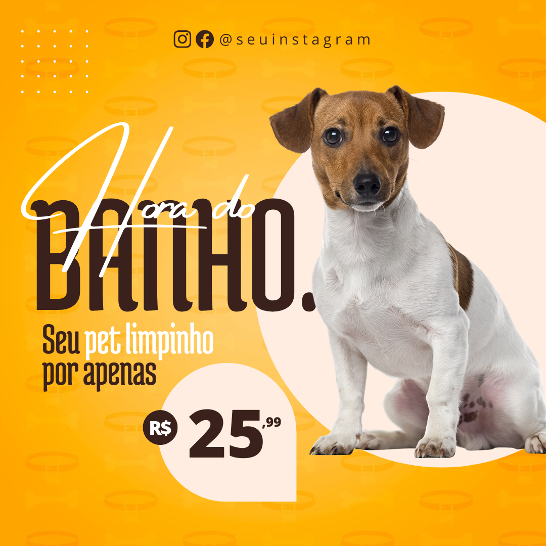 VETERINARIA-8-START-DIGITAL-2.png